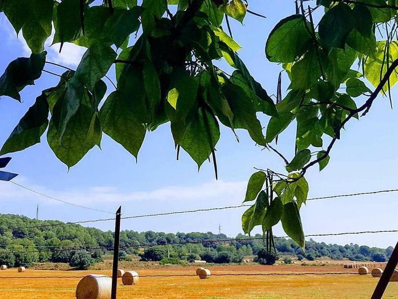 Cal Rusc Allotjament Rural Panzió Crespiá Kültér fotó